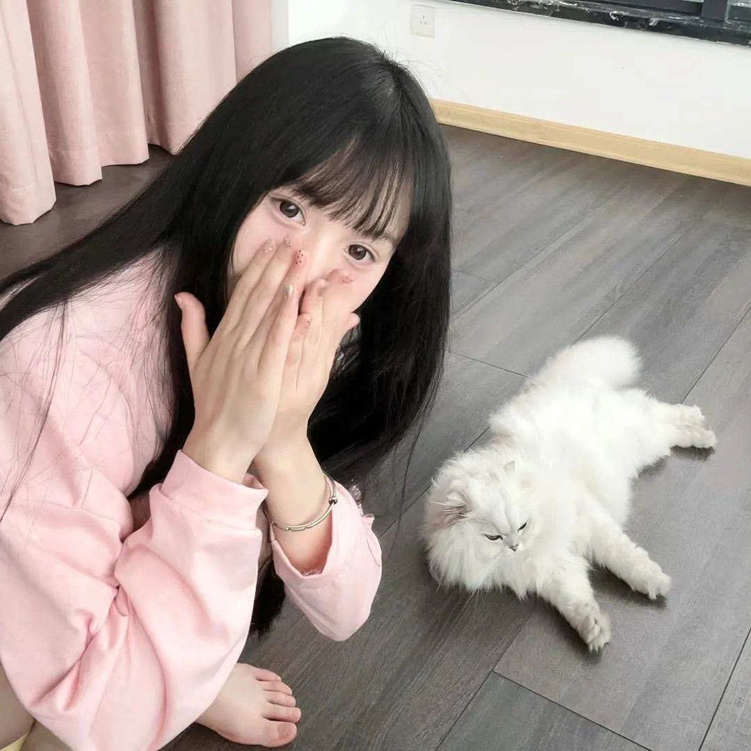 大唐女法医