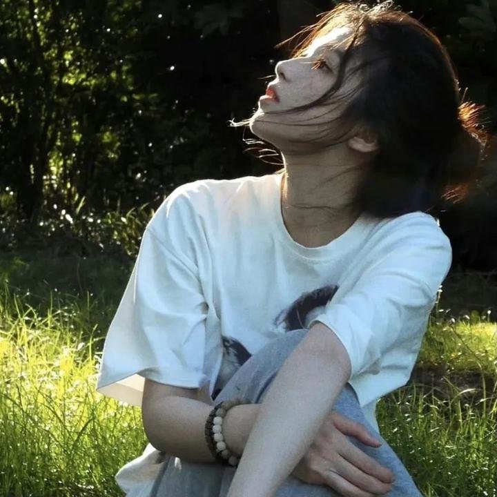 古惑仔情义篇之洪兴十三妹